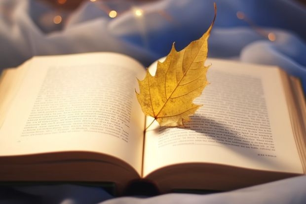 上海科学技术职业学院是高职还是中职学校 上海科学技术职业学院好不好考