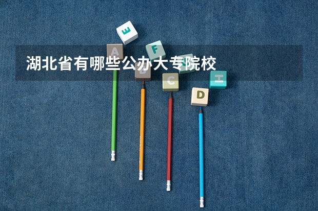 湖北省有哪些公办大专院校