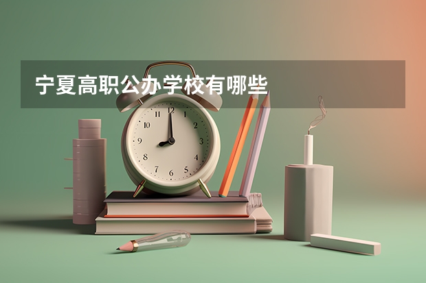 宁夏高职公办学校有哪些
