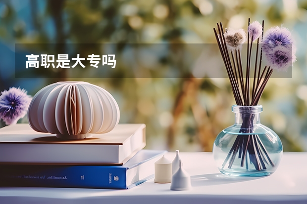 高职是大专吗