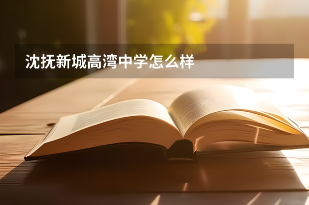 沈抚新城高湾中学怎么样
