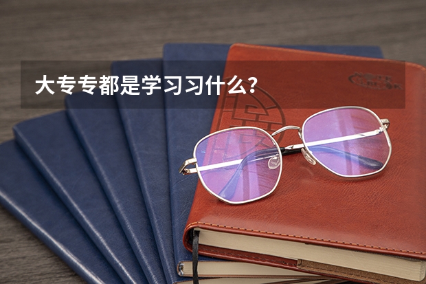 大专专都是学习习什么？
