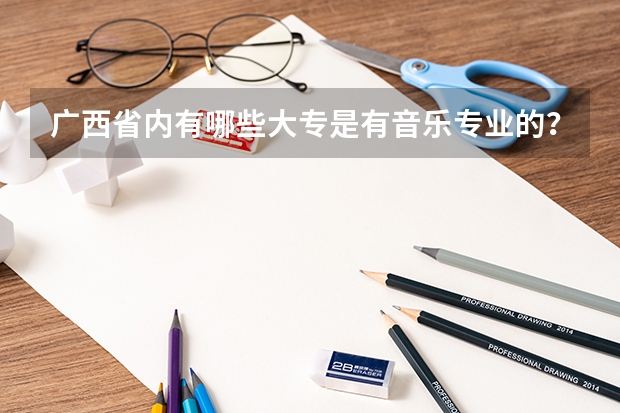 广西省内有哪些大专是有音乐专业的？